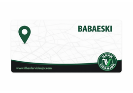Vidanjör Babeski