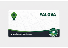 Vidanjör Yalova